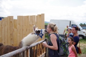 zoo2